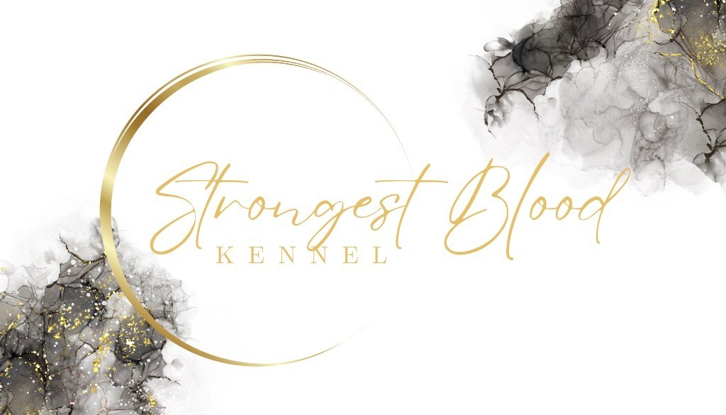 Strongest Blood